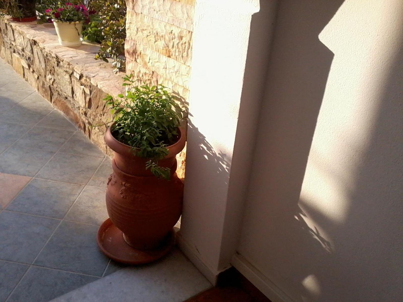 Acti Plaka Hotel Extérieur photo