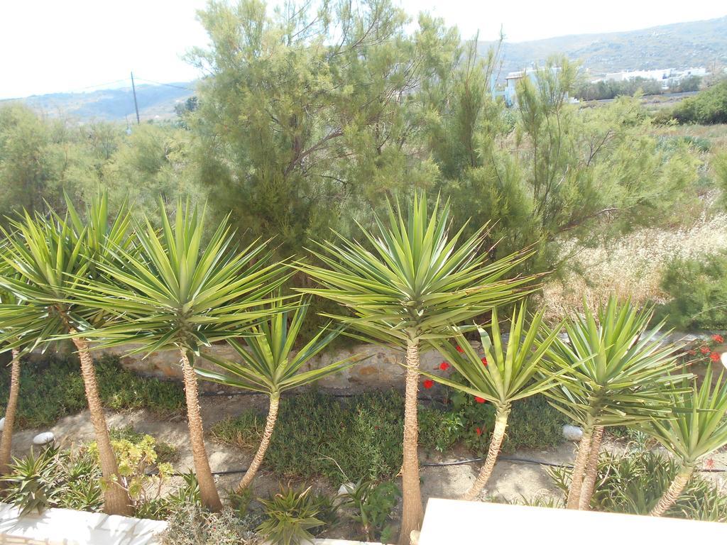 Acti Plaka Hotel Extérieur photo